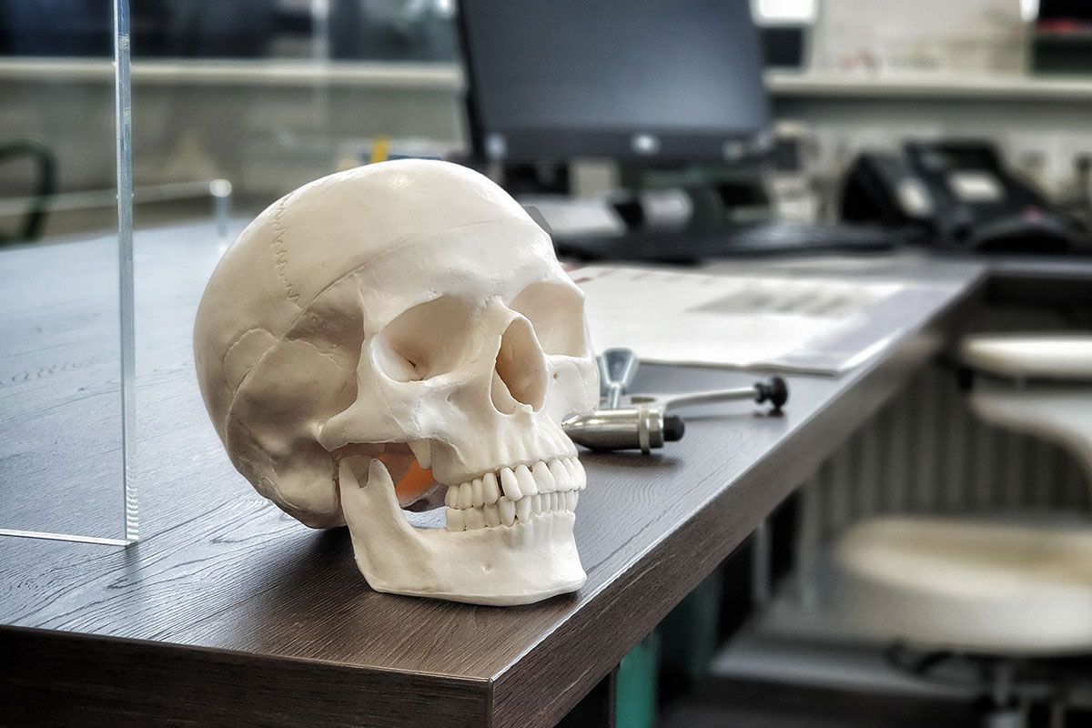 Kopf eines Skeletts